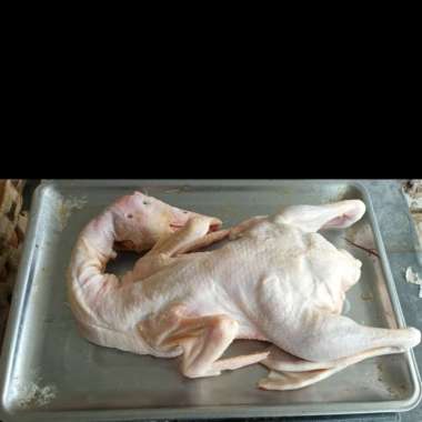 Bebek peking frozen 1,2kg / daging bebek/bebek beku/bebek frozen/duck
