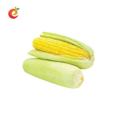 Jagung Harga Terbaru Mei 2021 Jagung Harga Terbaru Mei 2021