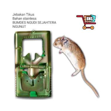 JEBAKAN TIKUS/ JEPRETAN TIKUS/ BENCET TIKUS