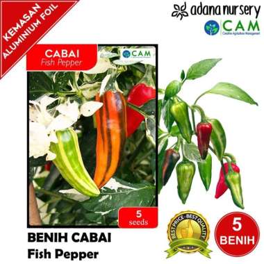 Benih / Biji Cabai Ornamental Fish Pepper - Berkualitas - 5 Seeds