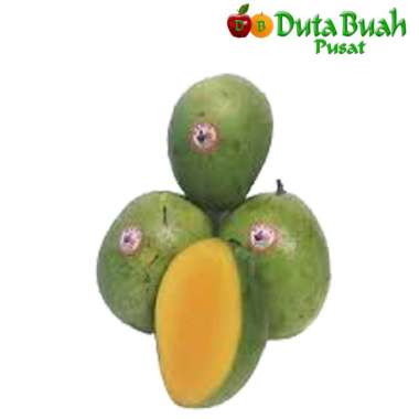 DUTA BUAH Mangga Indramayu JUMBO (900g-1kg)