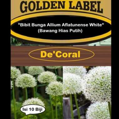 Bibit Bunga Allium Aflatunense White | Benih Bawang Hias Putih