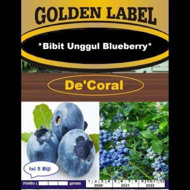 Bibit Unggul Blueberry | Benih Unggul Blueberry