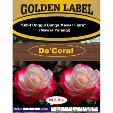 Bibit Unggul Bunga Mawar Fairy |Benih Bunga Mawar Pelangi