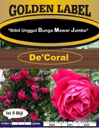 Bibit Unggul Mawar Jumbo | Benih Bunga Rose Jumbo | Benih Bunga Mawar