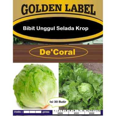 Bibit Unggul Selada Krop | Benih Selada Krop