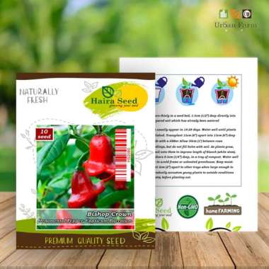 Biji - Benih Cabe Hias Bishop Crown