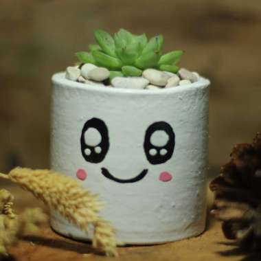 PAKET TANAMAN POT EMOTICON UKURAN 8 CM 10 CM PAKET 1 SET TANAMAN HIDUP HIAS KAKTUS SUKULEN HIASAN TA