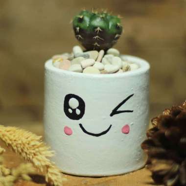 PAKET TANAMAN POT EMOTICON UKURAN 8 CM 10 CM PAKET 1 SET TANAMAN HIDUP HIAS KAKTUS SUKULEN HIASAN TA