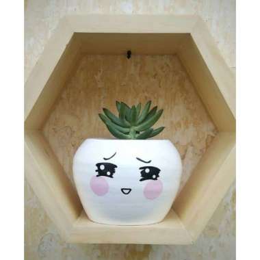 PAKET TANAMAN POT EMOTICON UKURAN 8 CM 10 CM PAKET 1 SET TANAMAN HIDUP HIAS KAKTUS SUKULEN HIASAN TA