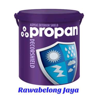 PROPAN EXTERIOR - DECORSHIELD DW-500 [2,5 LT] - WHITE 9101