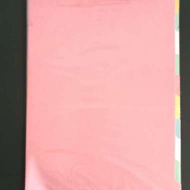 Divider karton A4 10 tab