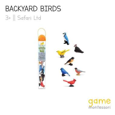 Safari Ltd Toobs Backyard Birds Toobs