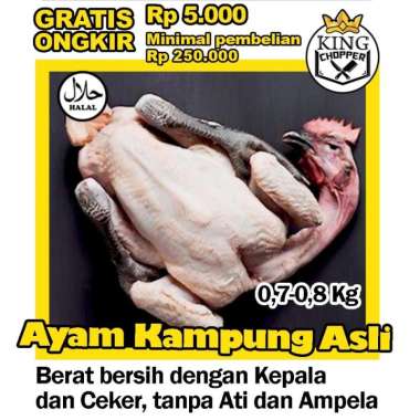 AYAM KAMPUNG SEDANG BERAT BERSIH PREMIUM FROZEN MURAH BEKASI FRESH BEKU SEGAR POTONG DAGING 0.7 - 0.