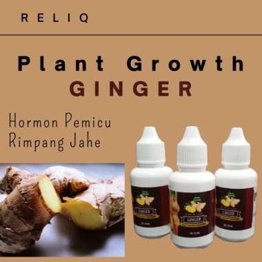 Pupuk Jahe Merah yang bagus kemasan 30 ml, Hormon Plant Growth pemicu Rimpang tanaman jahe emprit
