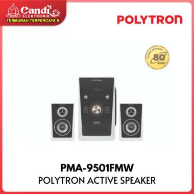 POLYTRON ACTIVE SPEAKER PMA-9501FMW / PMA 9501 /-FMW / PMA 9501 FMW