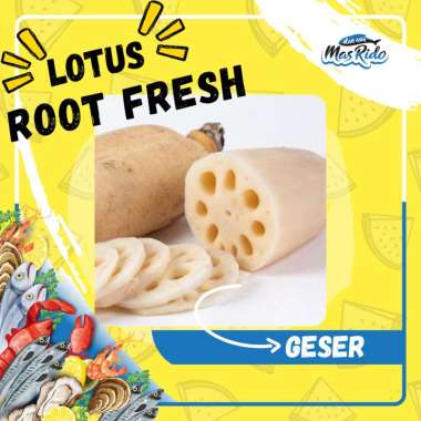 Ikan Asin Mas Rido Akar Teratai Import China Lingau Lengau Lotus Root Sayuran Segar