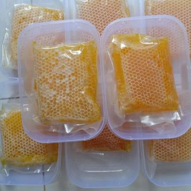 Sarang Lebah Madu Harga Terbaru Juli 2020 Blibli Com