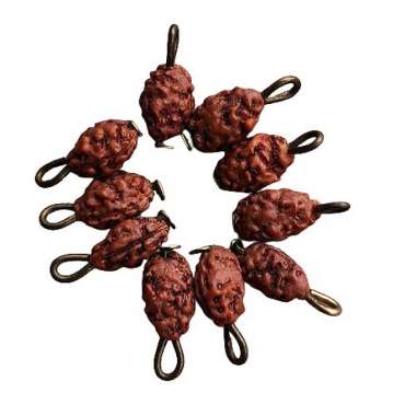 liontin jenitri mukhi 2 atau garis 2