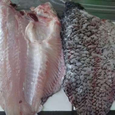 Gurame bersih Fillet