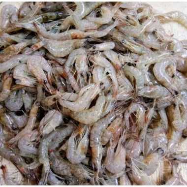 udang kecil 500gr