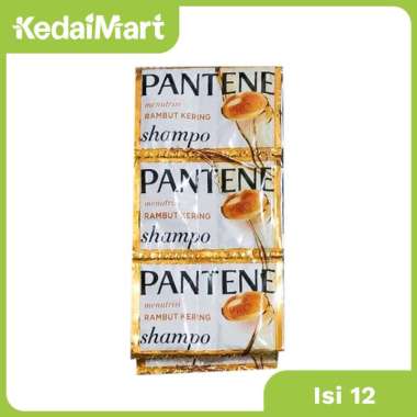 Pantene Shampoo