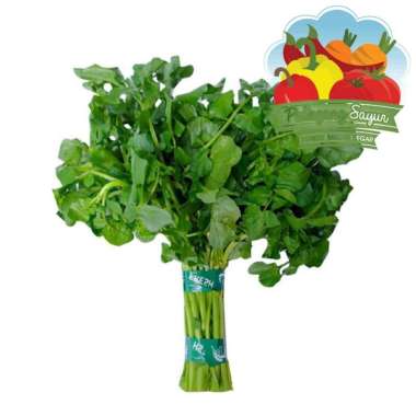 Selada Air - Per Ikat