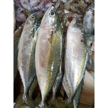 ikan kembung banjar 500gr