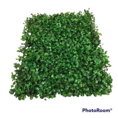 daun dolar sintetis-daun dolar vertical garden 40cm x 30cm