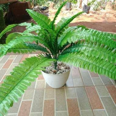 Daun Pakis Artifisial - Pohon Pakis Plastik