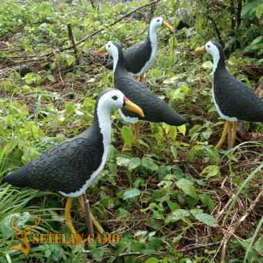 DECOY RUAK-RUAK / JONTROT RUAK-RUAK / PATUNG BURUNG KAREO / PEMANGGIL RUAK-RUAK / DECOY BURUNG KAREO