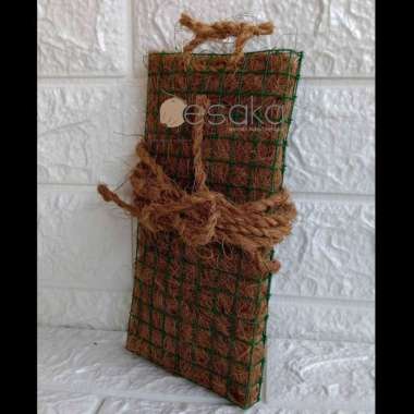 Media tanam anggrek tempel strimin