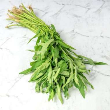 sayur kangkung akar 1 ikat