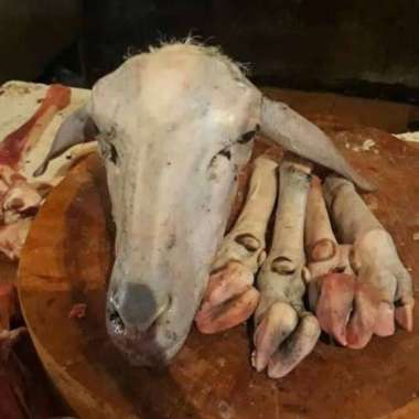 Daging kepala kambing muda plus 4 kaki dijamin fresh segar 800-1kg