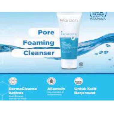 Wardah Acnederm Pure Foaming Cleanser 60ml