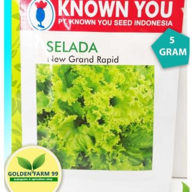 Benih / bibit selada / Lettuce New Grand Rapid