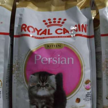 cat food royal canin kitten persia 10kg