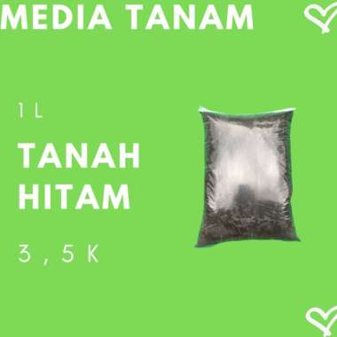 TOP SOIL, MEDIA TANAM TANAH HITAM, TANAH GEMBUR