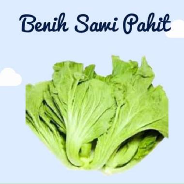 BIBIT, BENIH, BIJI SAWI PAHIT