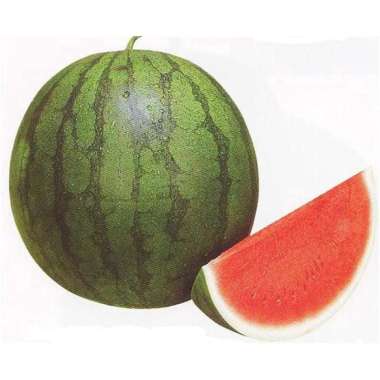 Buah Segar Jakarta FRESH Semangka Tanpa Biji 1/2 Buah 2 - 3 KG