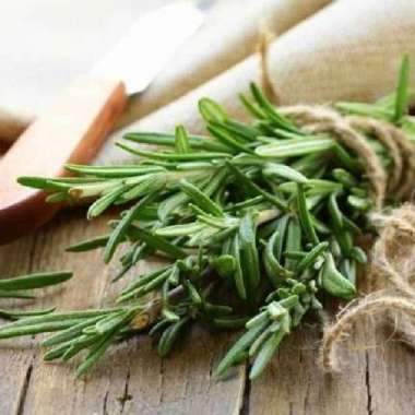 Rosemary Segar/ Rosemari Segar Per Pack