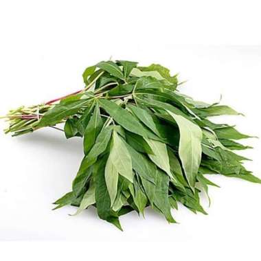 Sayur Daun Singkong Segar 1/2 Kg - 500 Gram