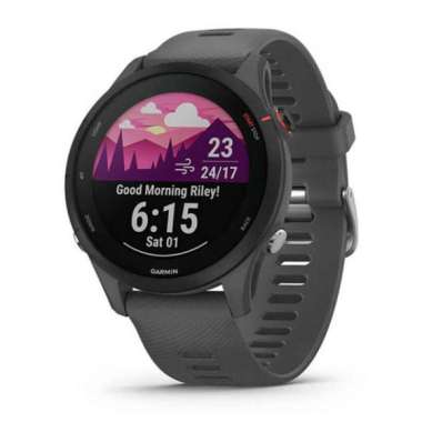 Jam Tangan Sport Original Garmin Forerunner 255 Slate Gray 010-02641-43 Garansi Resmi