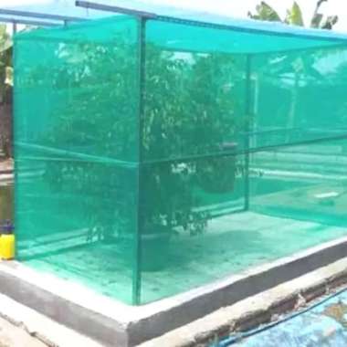 Termurah Kandang Jaring Lalat BSF Maggot 2x1,5x2