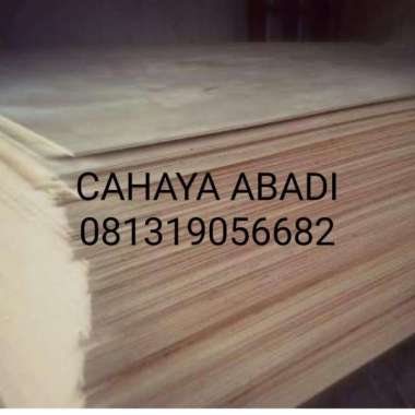 TRIPLEK 4MM 1,22x2,44mtr triplek AlbaSGN