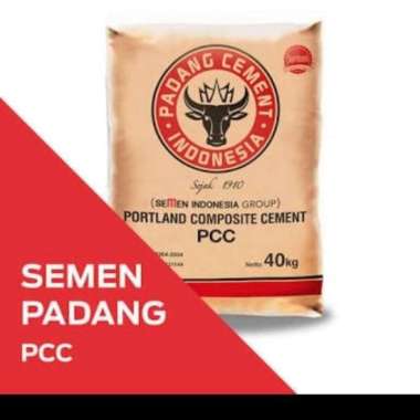 SEMEN PADANG 40KG PCC 100sak Depok