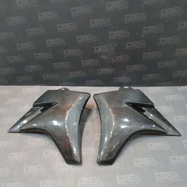 Body Cover Tutup Radiator Part Original Carbon Kevlar Kawasaki Ninja R