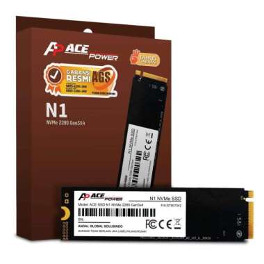 Ace Power N1 256 GB NVMe SSD