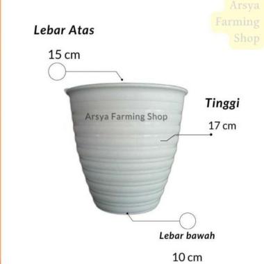 Pot Tawon Tirus 15 151 / Pot Tawon Pirus 151