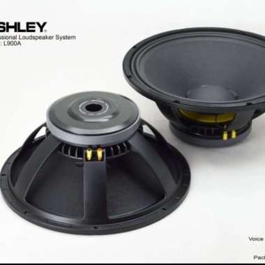 Speaker Component Ashley L900A Original Woofer 18 Inch